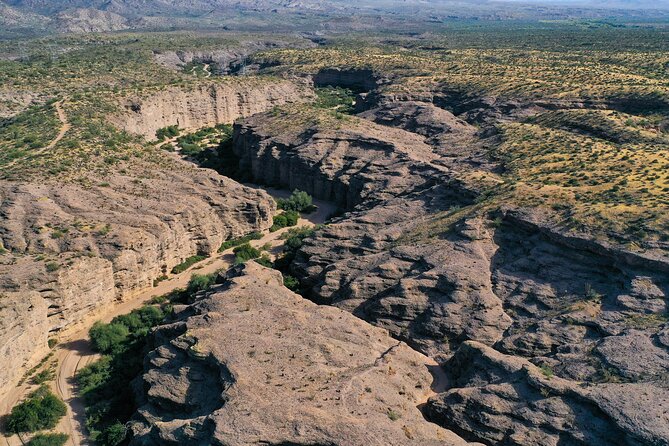 Sonoran Desert Jeep Tour - What the off-road ride feels like, and who should think twice