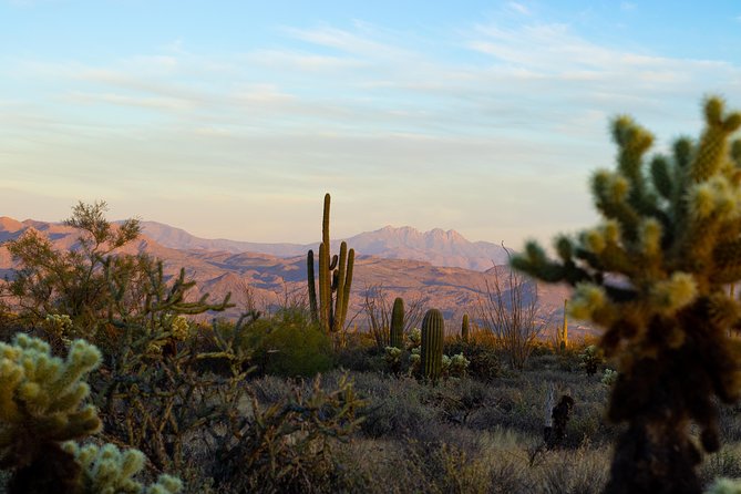 Sonoran Desert Jeep Tour at Sunset - The Old West Stop: Last Standing Buildings and Desert Stories