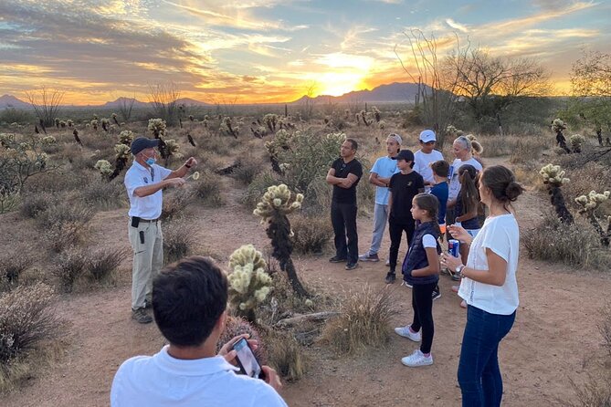 Sonoran Desert Jeep Tour at Sunset - Sunset Over Saguaro Cacti: What to Expect at the Panoramic Stop