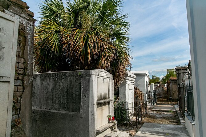 St. Louis Cemetery No. 1 Official Walking Tour - Entering the City of the Dead: how the 45 minutes in the cemetery feels