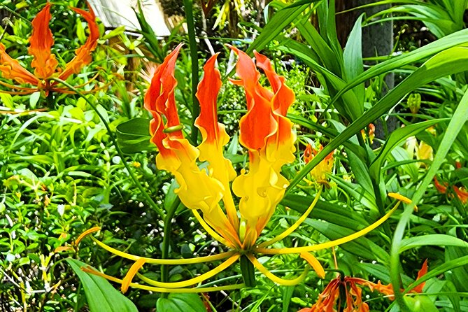St. Petersburg Jungle Prada Site History Tour - Getting the Full Florida Story: Tocobaga Meets the Spanish in 1528
