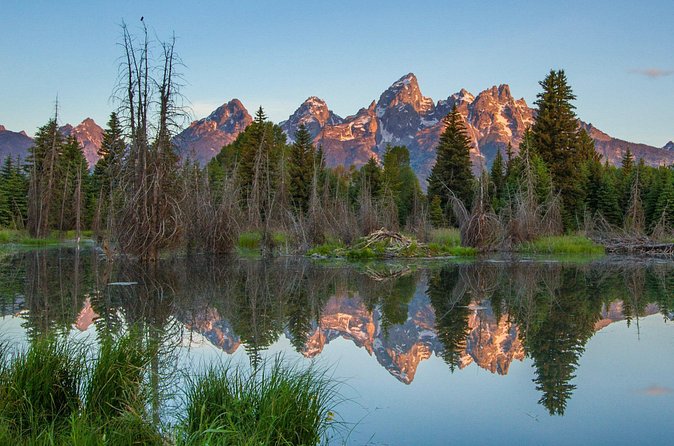 Sunrise 4-Hour Grand Teton Wildlife Adventure - Stop 1 in Grand Teton: What You Do With Your Time in the Park