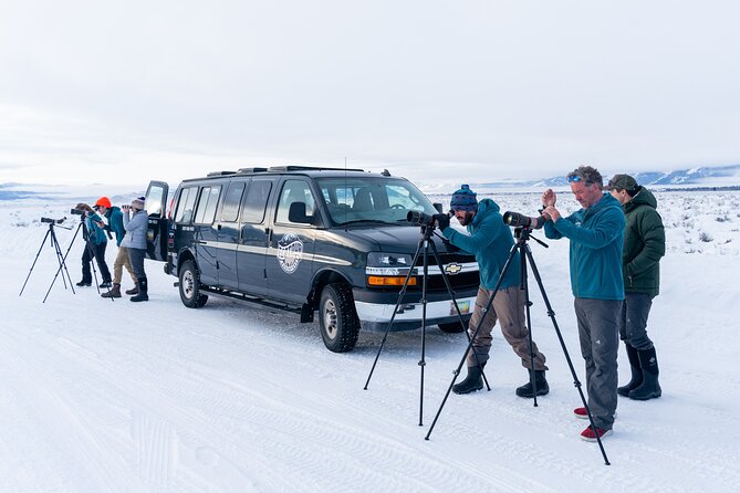 Sunrise 4-Hour Grand Teton Wildlife Adventure - What Breakfast, Coffee, and Snacks Change About a Morning Tour