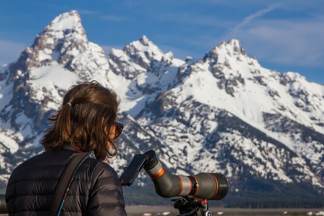 Sunrise 4-Hour Grand Teton Wildlife Adventure - Price, Park Fees, and Whether $198 Is Real Value