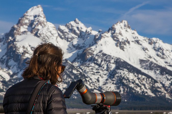 Sunrise 4-Hour Grand Teton Wildlife Adventure - The Reality of Wildlife Odds, Weather, and What to Pack