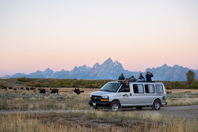 Sunset 4-Hour Grand Teton Wildlife Adventure - Swarovski optics and iPads: how you go from guessing to seeing