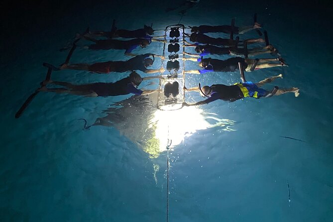 Sunset and Manta Ray Snorkel Adventure - Night snorkeling with mantas: how the experience actually feels