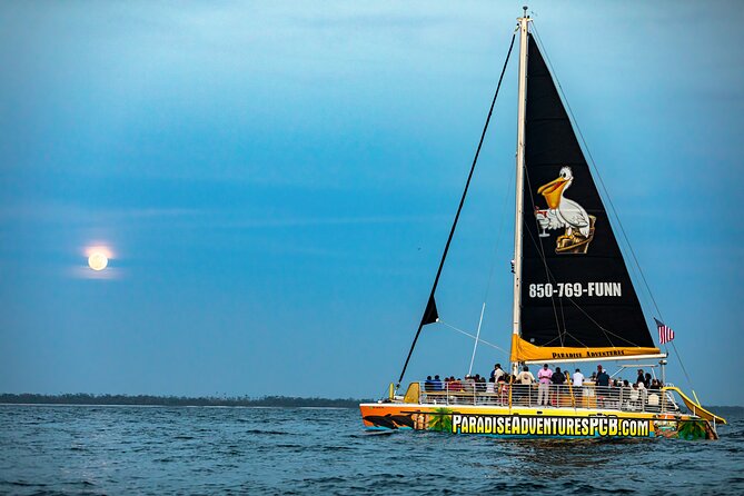 Sunset Dolphin Sail Aboard the Privateer Catamaran - Stop 1: Paradise Adventures and the dock walk you should plan for