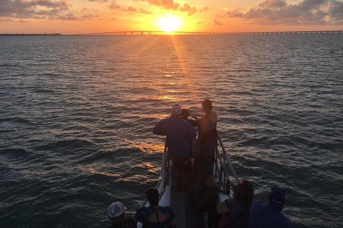 Sunset Dolphin Watch Tour - Key Things That Make This Dolphin Watch Worth Your Time
