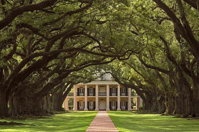 Swamp Boat Ride and Oak Alley Plantation Tour from New Orleans - Oak Alley Plantation at 9am or 11am: The Oak Tree Alley and House Rules