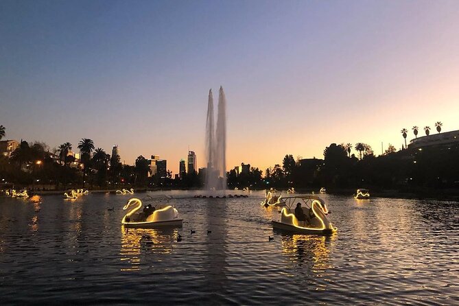 Swan Boat Rental in Echo Park - Your 1-hour plan: how the ride actually unfolds