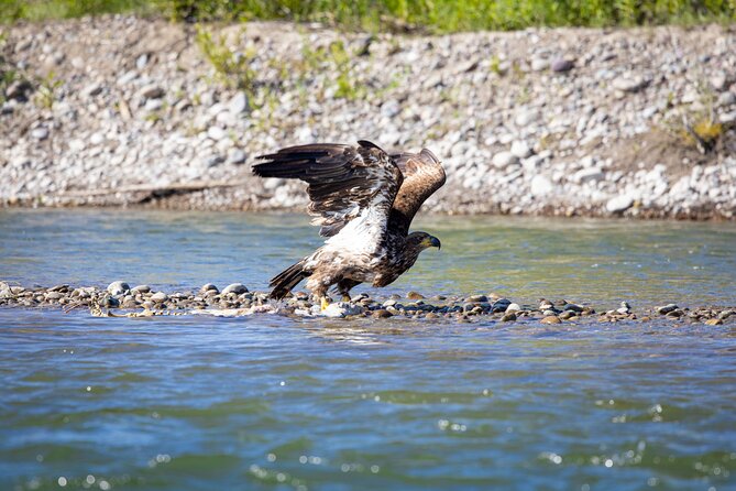 Tetons and Snake River Scenic Float Trip In Jackson Hole - Tetons backdrop and geology talk: more than just pretty photos