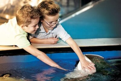 The Florida Aquarium in Tampa General Admission