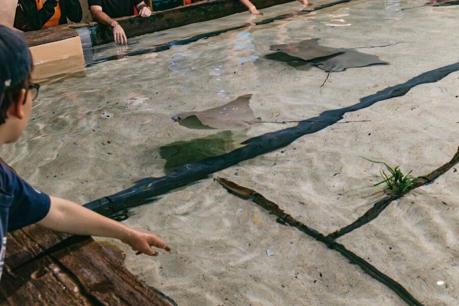 The Florida Aquarium Ticket - Coral Reef Gallery: the 500,000-gallon moment that changes the visit