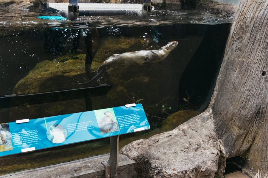 The Florida Aquarium Ticket - MORPHD: adapting to where you live, not just showing animals