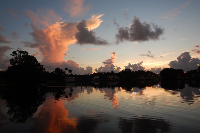 The 'OG' Manatee Snorkel Tour with In-Water Guide/Photographer - Should You Book This OG Manatee Snorkel Tour?