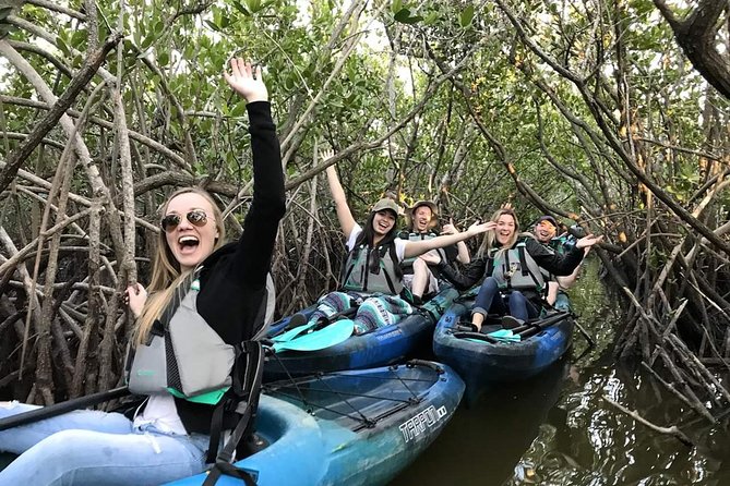 Thousand Island Mangrove Tunnel, Manatee & Dolphin Kayak Tour w/Cocoa Kayaking - Key things to know before you paddle