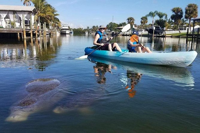 Thousand Island Mangrove Tunnel, Manatee & Dolphin Kayak Tour w/Cocoa Kayaking - The Pacing and Group Size That Makes Wildlife Watching Easier