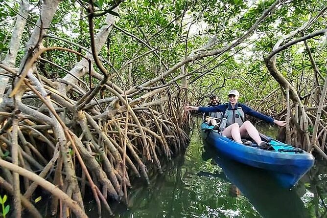 Thousand Island Mangrove Tunnel, Manatee & Dolphin Kayak Tour w/Cocoa Kayaking - The Paddle Out: Open Water, Birds, and First Wildlife Checks