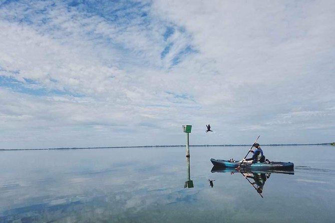 Thousand Island Mangrove Tunnel, Manatee & Dolphin Kayak Tour w/Cocoa Kayaking - The Mangrove Tunnels: Slow Paddling Through a Living Maze
