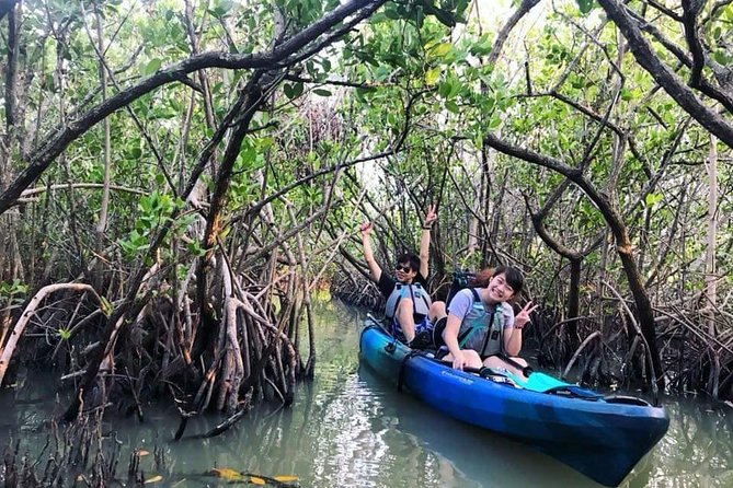 Thousand Island Mangrove Tunnel, Manatee & Dolphin Kayak Tour w/Cocoa Kayaking - Manatees and Dolphin Chances, Plus Seasonal Timing