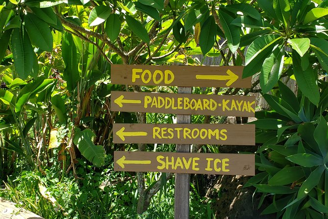 Tour of North Shore & Waimea Waterfall - Kahuku fruit stand: cold coconut and fresh fruit timing