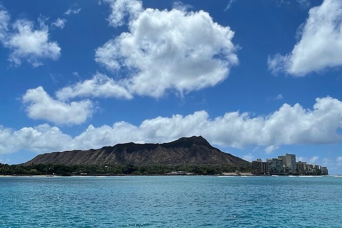 Turtle Canyon Snorkel Adventure in Waikiki, Oahu - Who This Tour Suits Best (and Who Should Rethink It)
