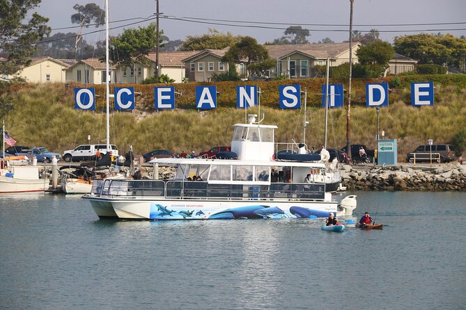 Two-Hour Luxury Whale Watching Tour from Oceanside - What You’ll See: Whales, Dolphins, Sea Lions, and the Season Factor