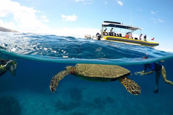 Ultimate 4 Hour Lanai Snorkel and Dolphin Encounter - Lanai Snorkeling That Feels Like a Real Day on the Water