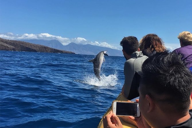 Ultimate 4 Hour Lanai Snorkel and Dolphin Encounter - Dolphin Encounters: How This Trip Tries to Give You a Real Chance