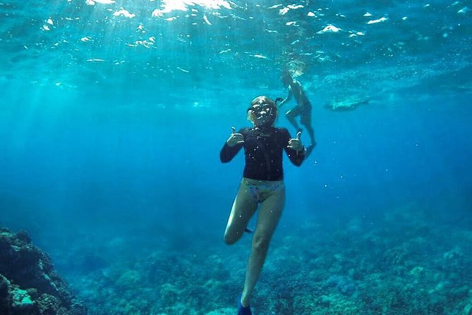Ultimate 4 Hour Lanai Snorkel and Dolphin Encounter - Snorkel Stop Two Back Toward Maui: Man-Made Reef Energy and Shark Chances