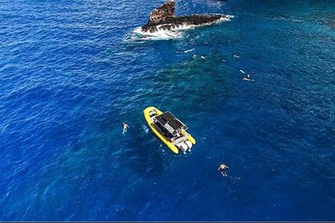 Ultimate 4 Hour Lanai Snorkel and Dolphin Encounter - Gear, Sunscreen, and Food: What’s Included, and How to Pack Smart