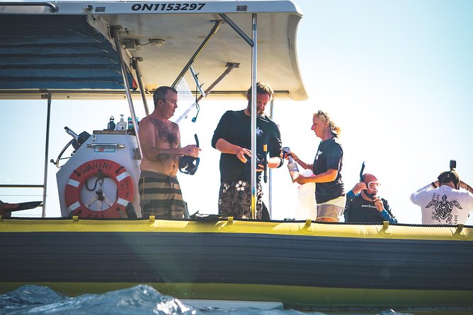 Ultimate 4 Hour Lanai Snorkel and Dolphin Encounter - Price and Value: Is $175 a Fair Deal for a 4 Hour Trip?