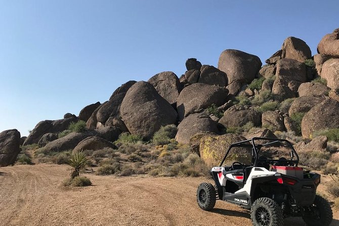 Ultimate Hidden Valley and Primm RZR Adventure from Las Vegas - Seven Magic Mountains: The Quick Art Stop That Sets the Mood