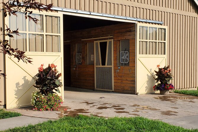 Unique Horse Farm Tours with Insider Access to Private Farms - The Thoroughbred Center: seeing young yearlings swim up close