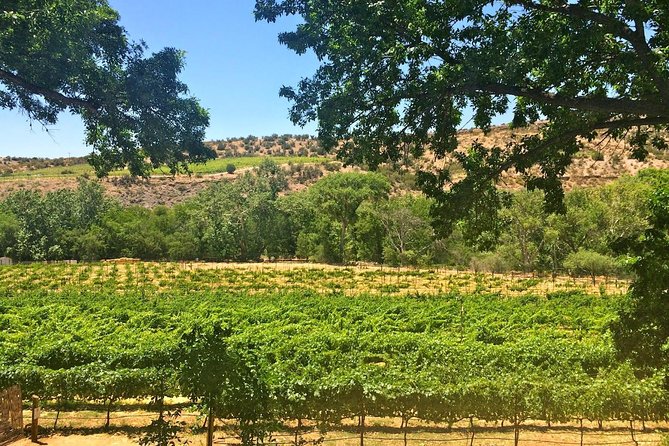 Visit 4 Wineries in Limo Party Bus-Includes Charcuterie Lunch! - A Sedona limo party bus that actually saves you time