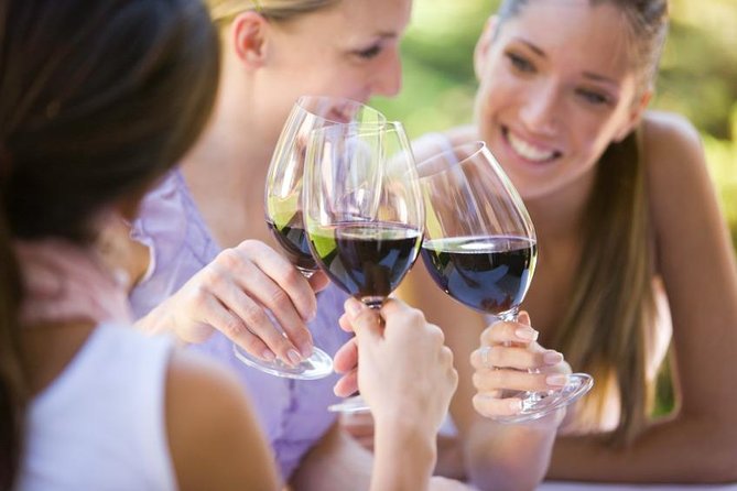 Visit 4 Wineries in Limo Party Bus-Includes Charcuterie Lunch! - Drivers make or break a wine day, and here you can get the good ones
