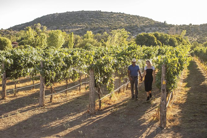 Visit 4 Wineries in Limo Party Bus-Includes Charcuterie Lunch! - The four-winery structure, and why it helps your budget