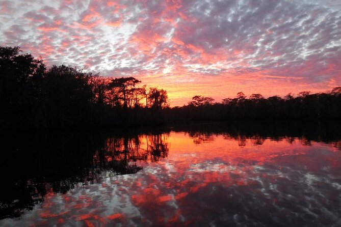 Waccamaw River Nature and Wildlife Tour - Wildlife spotting tips that work on the river, not just in textbooks