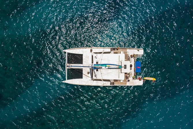 Waikiki Catamaran Snorkel Sail with Lunch: Turtles Guaranteed - Turtle Canyon snorkeling: how the experience actually plays out