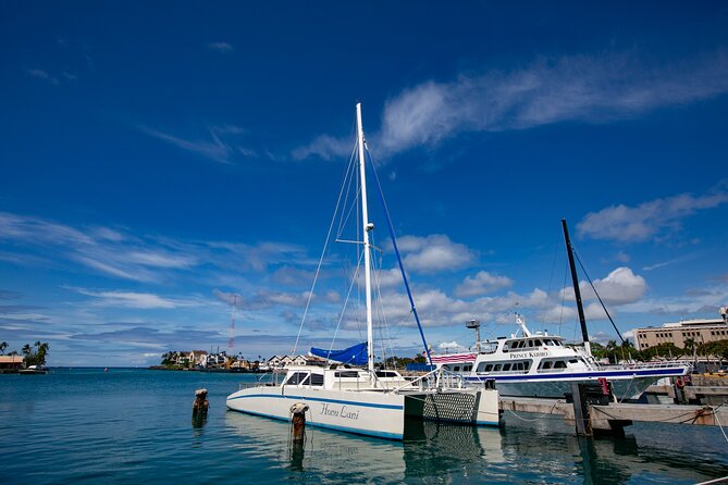 Waikiki Catamaran Snorkel Sail with Lunch: Turtles Guaranteed - Price and value: is $134.95 a good deal?