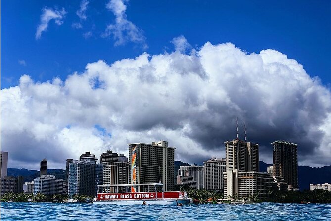 Waikiki Glass Bottom Boat Cruise - What the Crew Looks For: Dolphins, Turtles, Whales, and Reef Fish