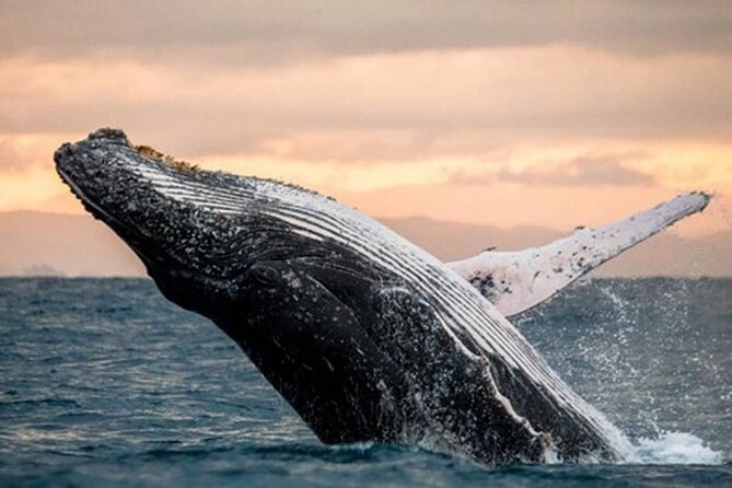 Waikiki Glass Bottom Boat Cruise - The Cruise Route and the Views You Will Actually Feel in Your Photos