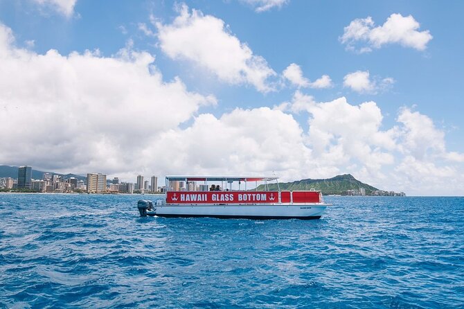 Waikiki Glass Bottom Boat Cruise - Comfort, Timing, and How the One Hour Feels