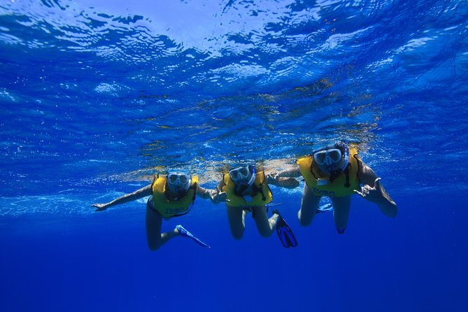 Waikiki, Hawaii: Turtle Canyon Snorkel Excursion - Who should book this tour, and who might want a different plan