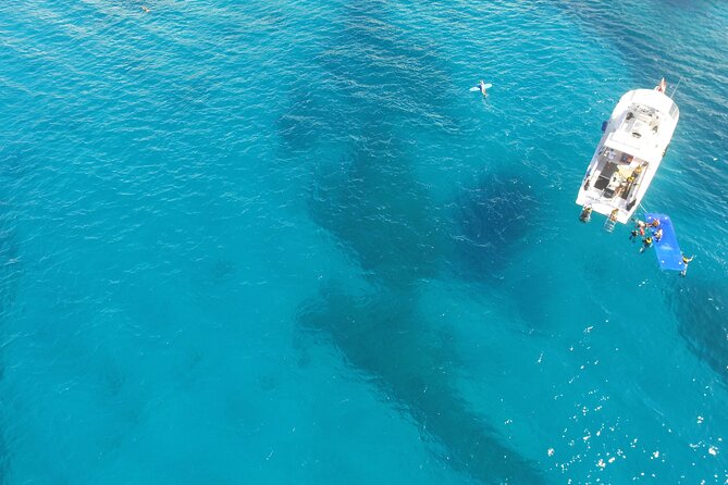 Waikiki, Hawaii: Turtle Canyon Snorkel Excursion - Practical checklist before you go