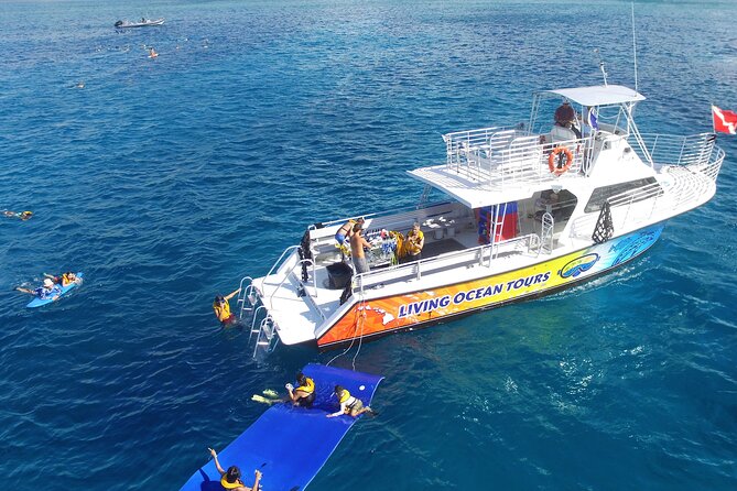 Waikiki, Hawaii: Turtle Canyon Snorkel Excursion - Meeting at Living Ocean Tours, then sights of Waikiki and Diamond Head