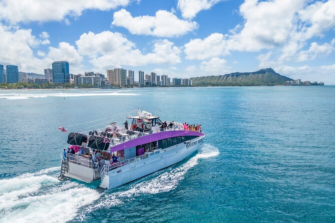 Waikiki, Oahu 2-Hour Whale Watching: Guaranteed Sightings - Winter Whale Watching in Waikiki Is a Real Two-Hour Mission