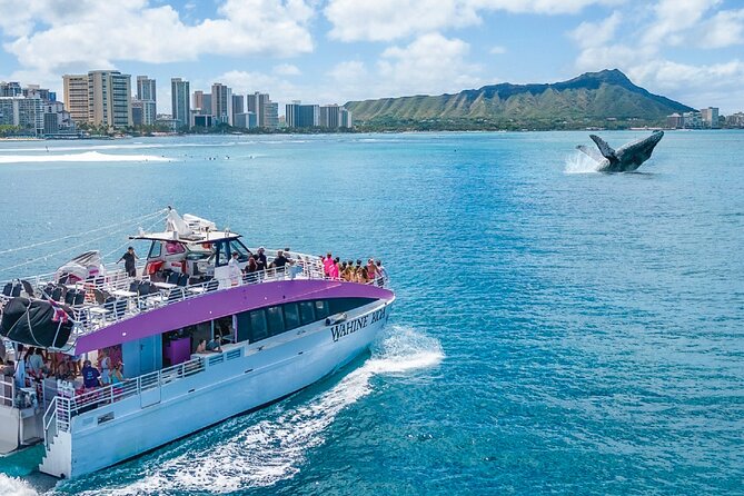 Waikiki, Oahu 2-Hour Whale Watching: Guaranteed Sightings - If No Whales Show Up: The Free Re-ride Is the Real Safety Net