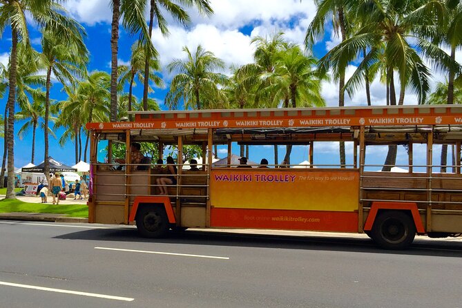 Waikiki Trolley Blue Line Coastline & Local Grindz Hop-on Hop-off - Sea Life Park Hawaii: Dolphins, Seals, Rays, Sharks, and Optional More